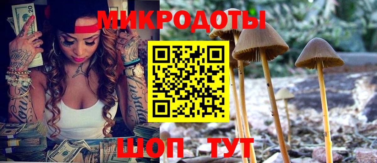 Псилоцибиновые грибы мицелий Мариинск