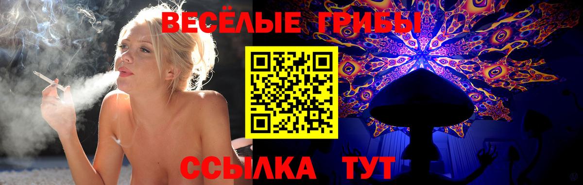 Мариинск  Галлюциногенные грибы Psilocybine cubensis  Вход с VPN 